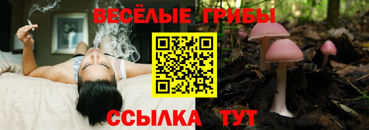 Галлюциногенные грибы мухоморы  Псилоцибиновые грибы Magic Shrooms  Фрязино  Вход с VPN 